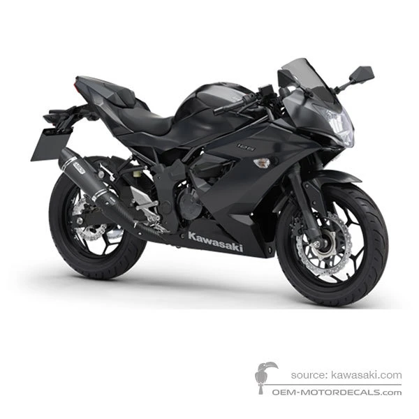 OEM Decals Kawasaki NINJA 125 2020 - Black • Original Stickers